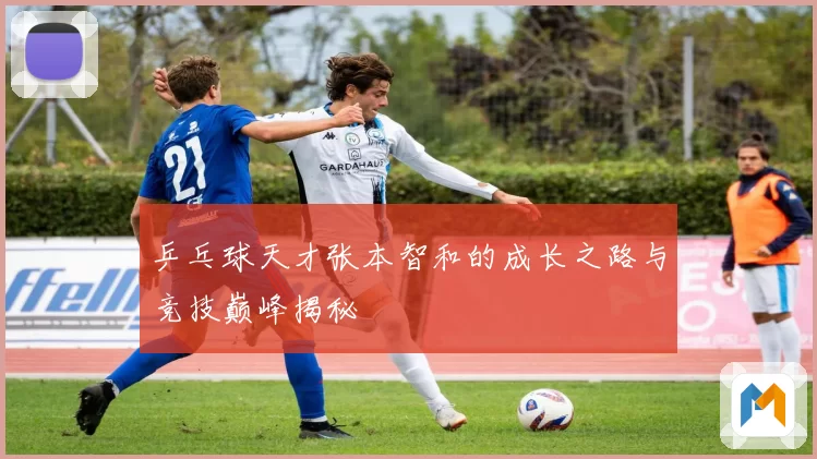 乒乓球天才张本智和的成长之路与竞技巅峰揭秘