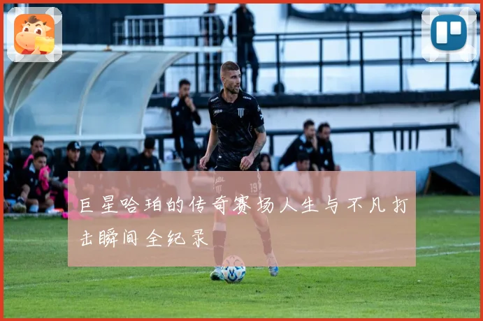 巨星哈珀的传奇赛场人生与不凡打击瞬间全纪录