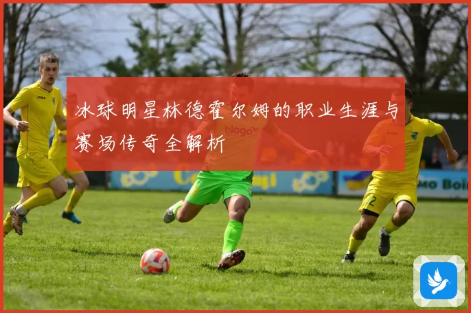 冰球明星林德霍尔姆的职业生涯与赛场传奇全解析