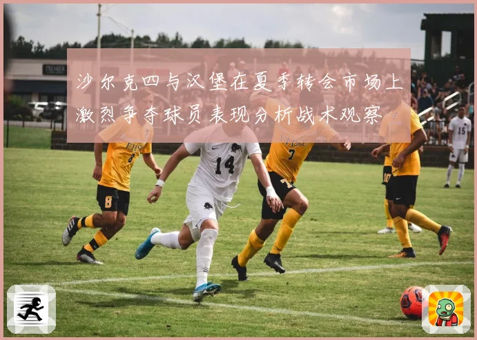 沙尔克四与汉堡在夏季转会市场上激烈争夺球员表现分析战术观察