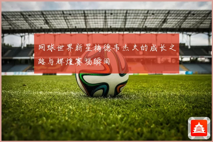 网球世界新星梅德韦杰夫的成长之路与辉煌赛场瞬间