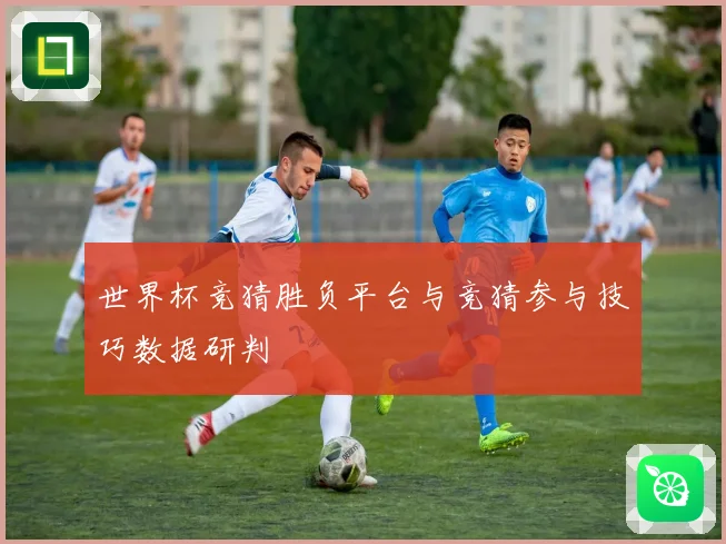 世界杯竞猜胜负平台与竞猜参与技巧数据研判