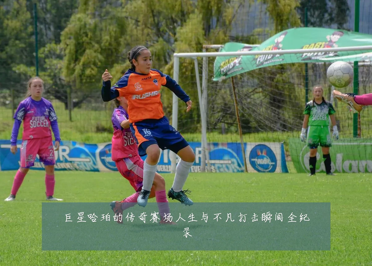 巨星哈珀的传奇赛场人生与不凡打击瞬间全纪录