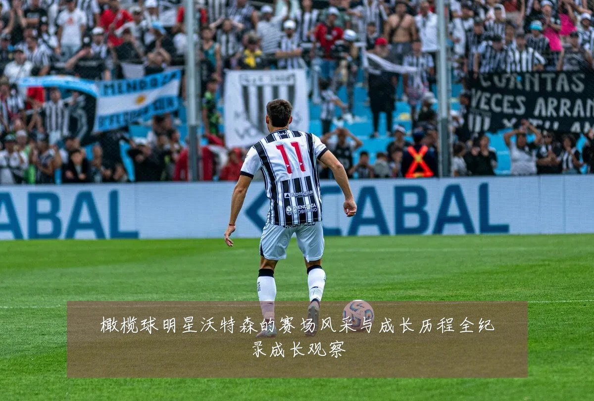 橄榄球明星沃特森的赛场风采与成长历程全纪录成长观察