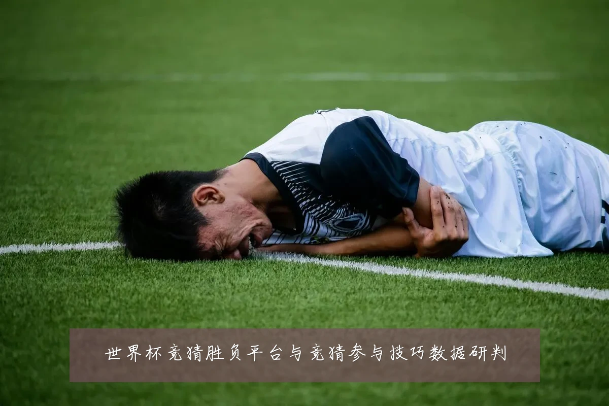 世界杯竞猜胜负平台与竞猜参与技巧数据研判